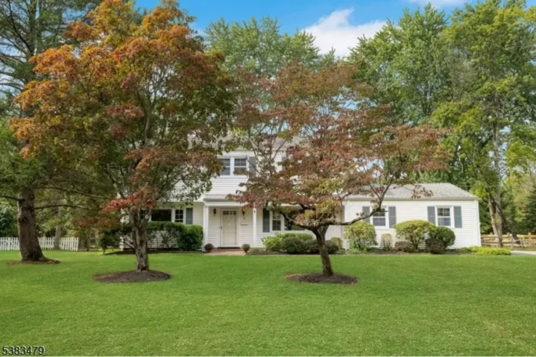10 Bockoven Rd Mendham, NJ 07945